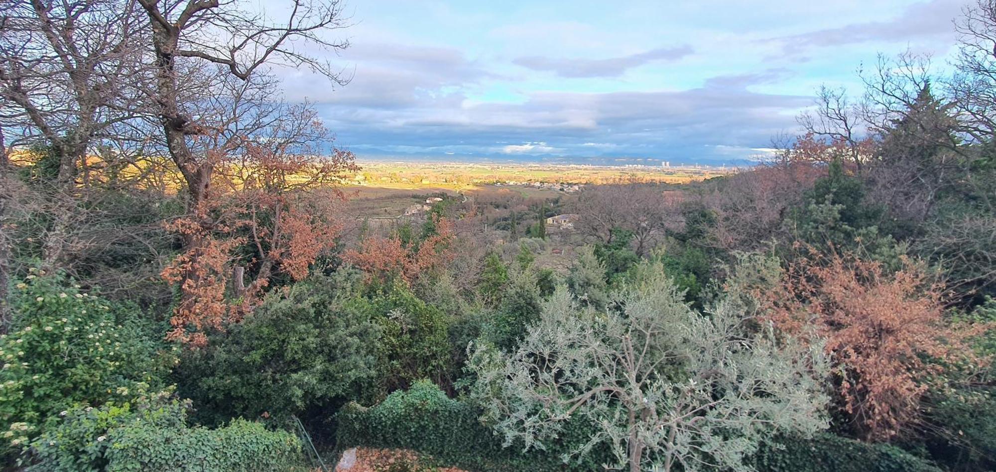 La Romarine Apartment Bourg-Saint-Andeol Bagian luar foto